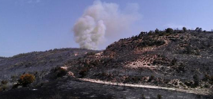 (Foto: Foto twitter @AlexMorenoYague)