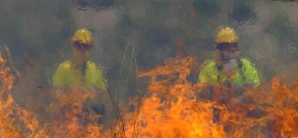 (Foto: twitter @AgForestales)