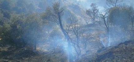 (Foto: @CEISGuadalajara)