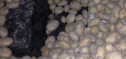 (Foto: Policía Nacional)