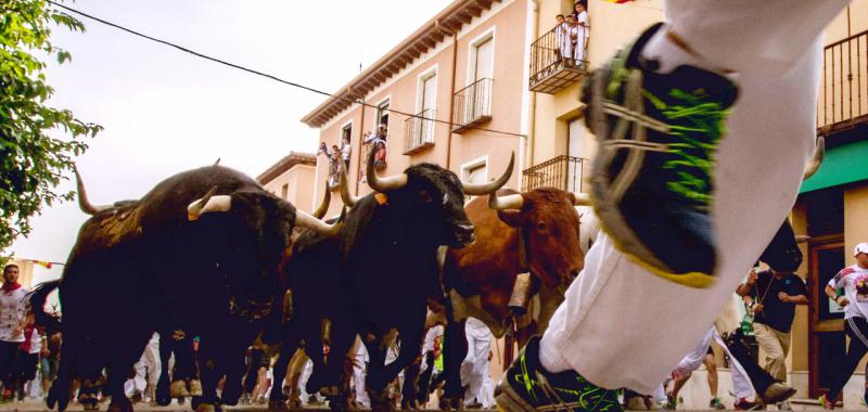 Brihuega 16 de agosto